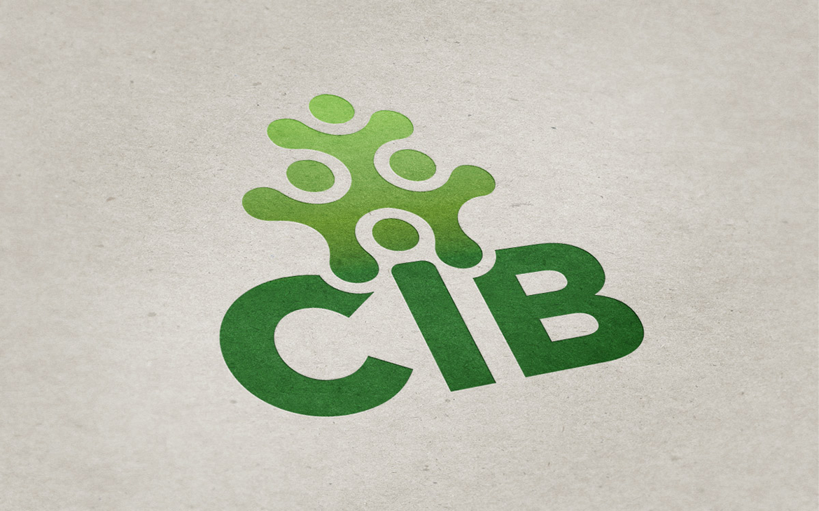 CIB Organizational Development – Branding and Website